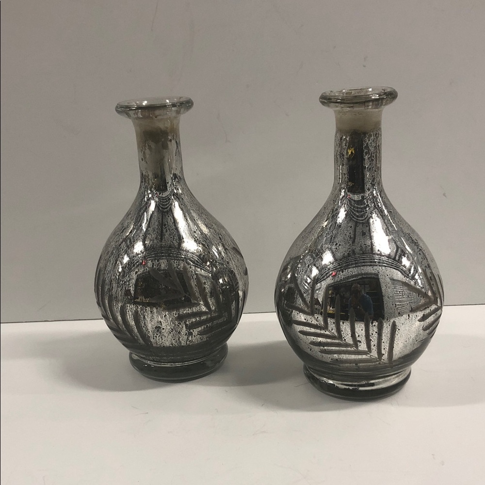 Elegant Silver Glass Vases